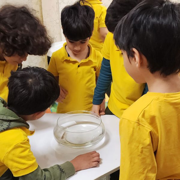 تم آموزشی من و تن - آذر ماه 1402 - پیش‌دبستان مصباح دانش - 13