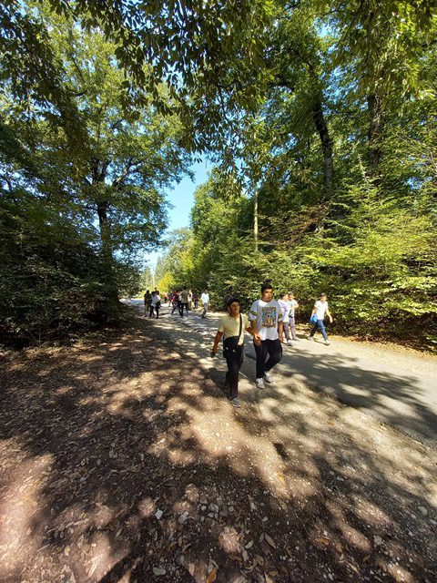 اردوی ساری- دوره اول متوسطه