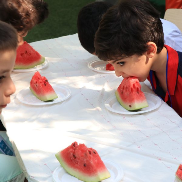 سفر به جزیره اسرارآمیز - پیش‌دبستان مصباح دانش - 5