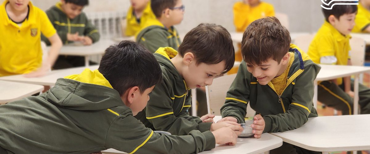 تم آموزشی زمین ما - فروردین و اردیبهشت ماه 1403 - پیش‌دبستان مصباح دانش - 24