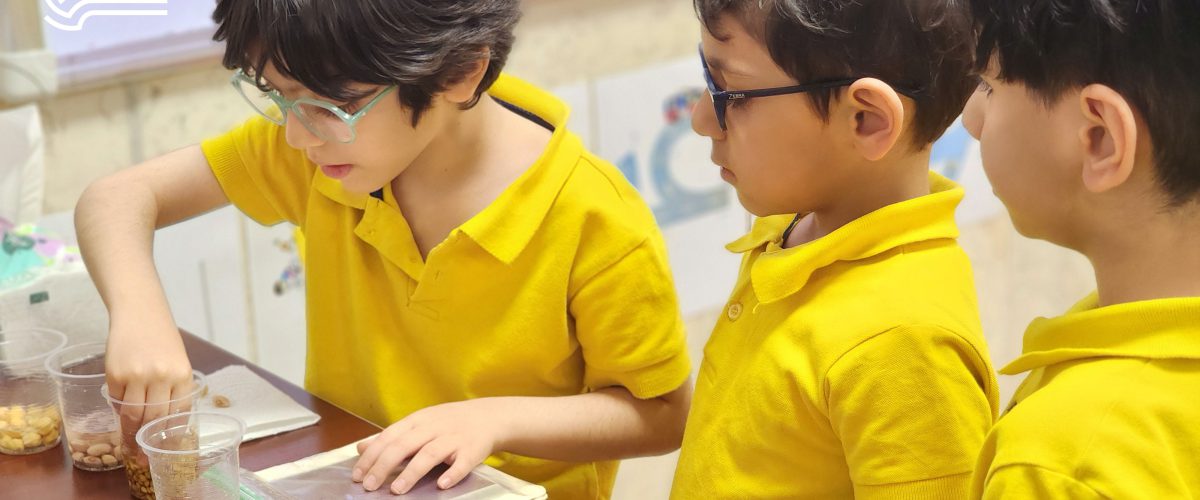 تم آموزشی زمین ما - فروردین و اردیبهشت ماه 1403 - پیش‌دبستان مصباح دانش - 26