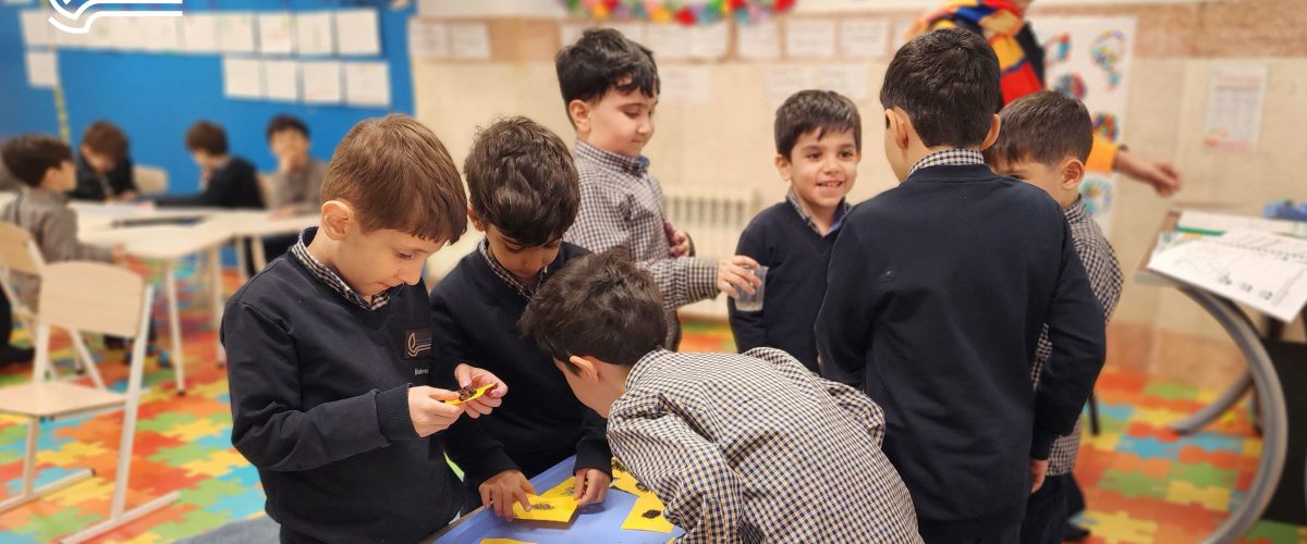 تم آموزشی زمین ما - فروردین و اردیبهشت ماه 1403 - پیش‌دبستان مصباح دانش - 42