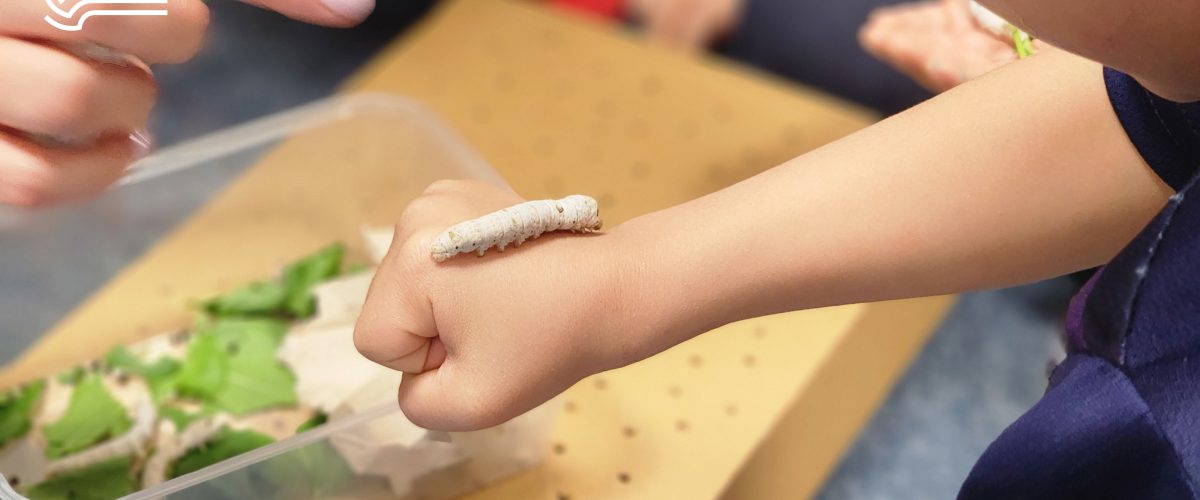 تم آموزشی زمین ما - فروردین و اردیبهشت ماه 1403 - پیش‌دبستان مصباح دانش - 45