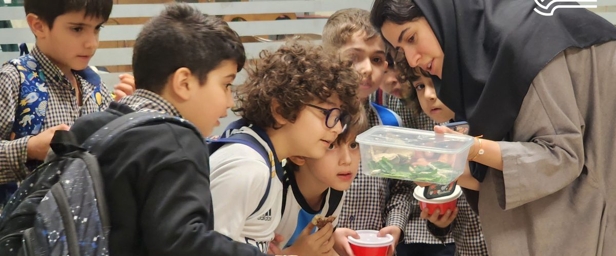 تم آموزشی زمین ما - فروردین و اردیبهشت ماه 1403 - پیش‌دبستان مصباح دانش - 46