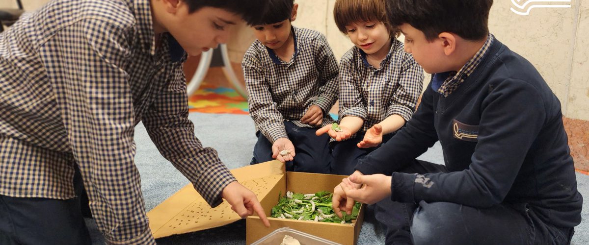 تم آموزشی زمین ما - فروردین و اردیبهشت ماه 1403 - پیش‌دبستان مصباح دانش - 47