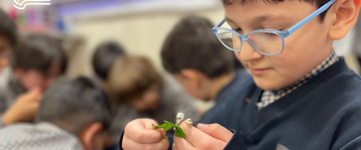 تم آموزشی زمین ما - فروردین و اردیبهشت ماه 1403 - پیش‌دبستان مصباح دانش - 48