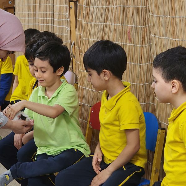 از جنگل تا مدرسه – سال تحصیلی 1404-1403 – پیش‌دبستان مصباح دانش - 13