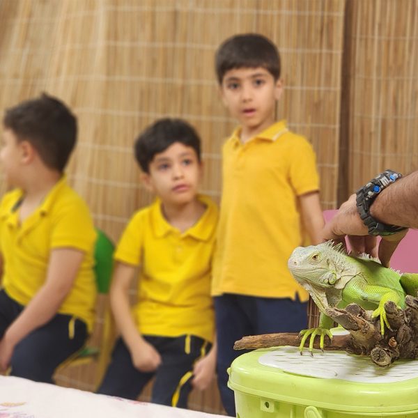 از جنگل تا مدرسه – سال تحصیلی 1404-1403 – پیش‌دبستان مصباح دانش - 17