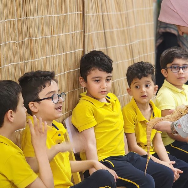 از جنگل تا مدرسه – سال تحصیلی 1404-1403 – پیش‌دبستان مصباح دانش - 19