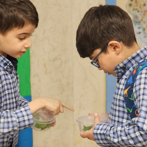 تم آموزشی زمین ما– سال تحصیلی 1404-1403 – پیش‌دبستان مصباح دانش - 33