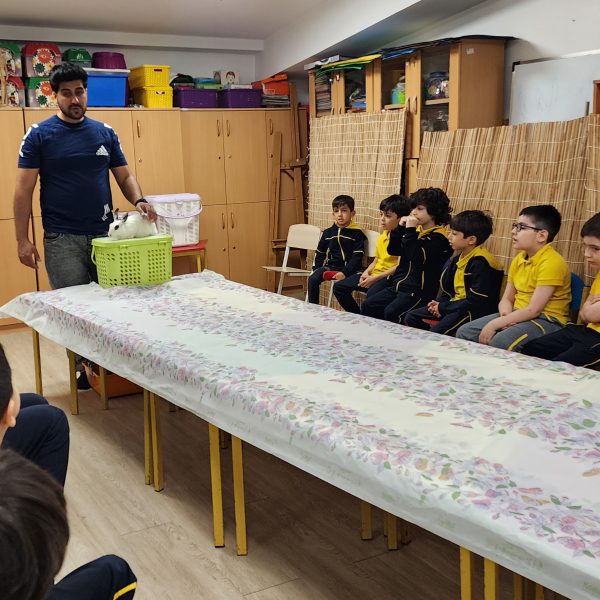 از جنگل تا مدرسه – سال تحصیلی 1404-1403 – پیش‌دبستان مصباح دانش - 4