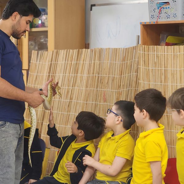 از جنگل تا مدرسه – سال تحصیلی 1404-1403 – پیش‌دبستان مصباح دانش - 6