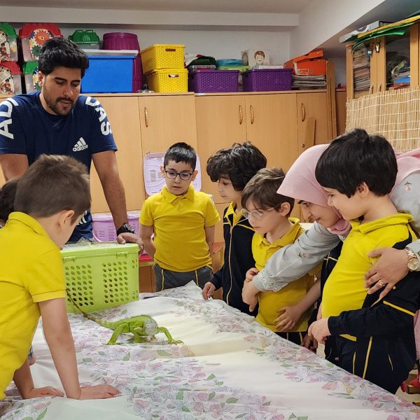 از جنگل تا مدرسه – سال تحصیلی 1404-1403 – پیش‌دبستان مصباح دانش - 7