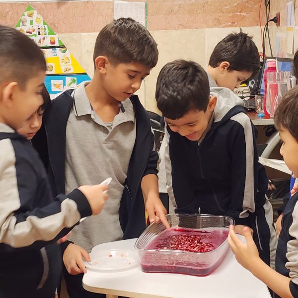 جشن میانه پاییز– سال تحصیلی 1405-1404 – پیش‌دبستان مصباح دانش - 1